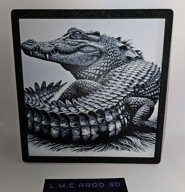Crocodile