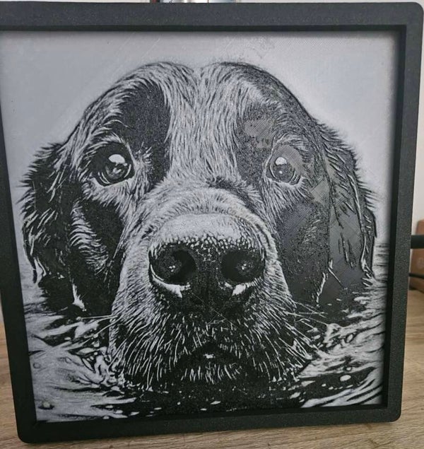 Chien (Portrait)