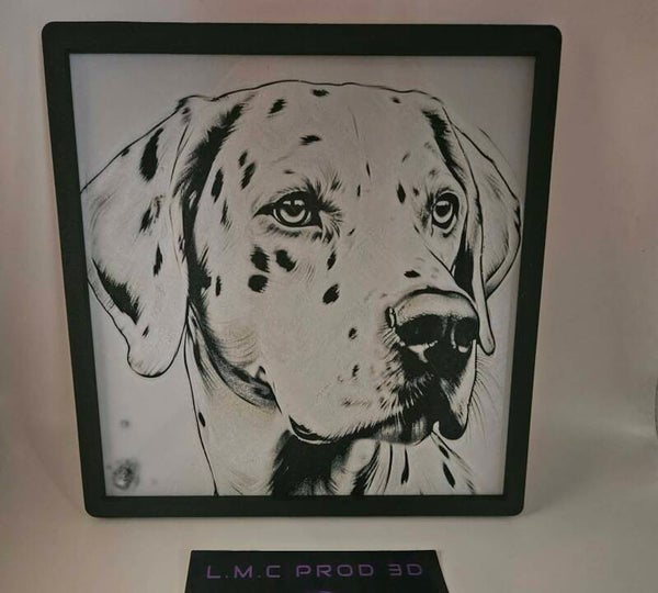 Dalmatien.