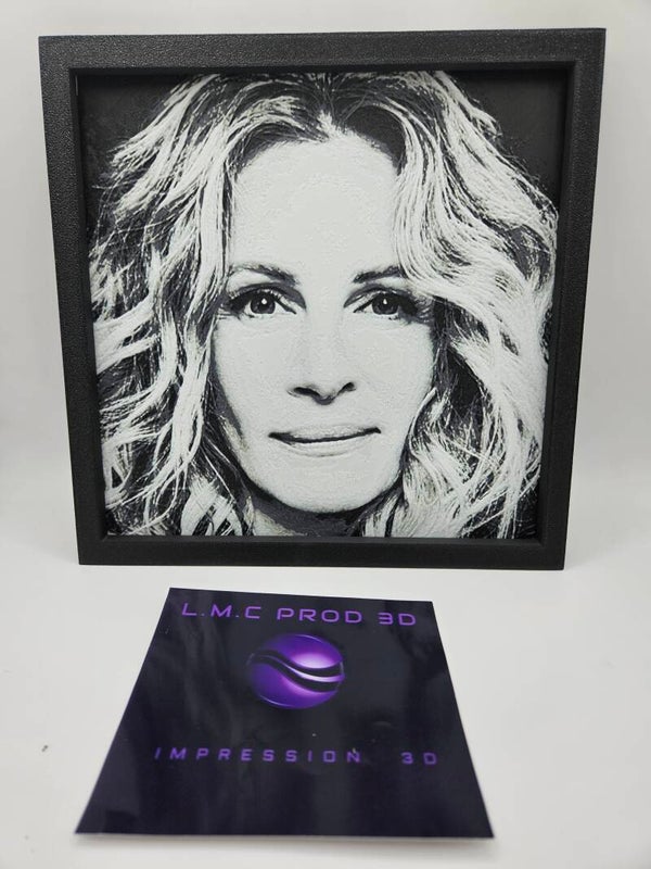 CADRE 2D JULIA ROBERTS