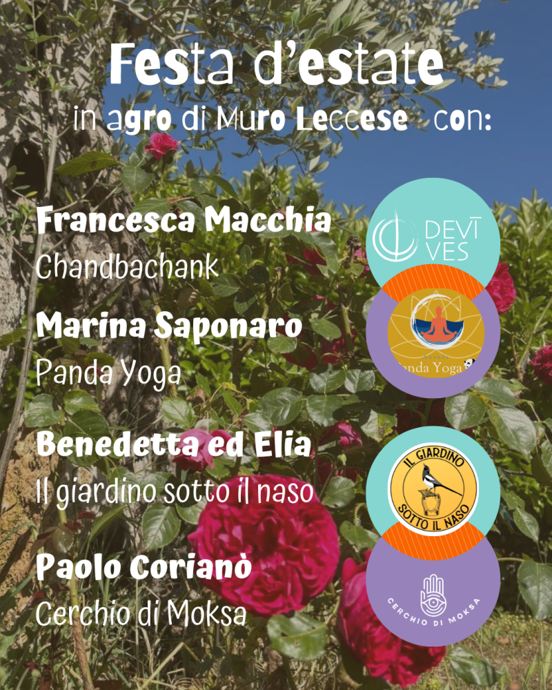 chi guida