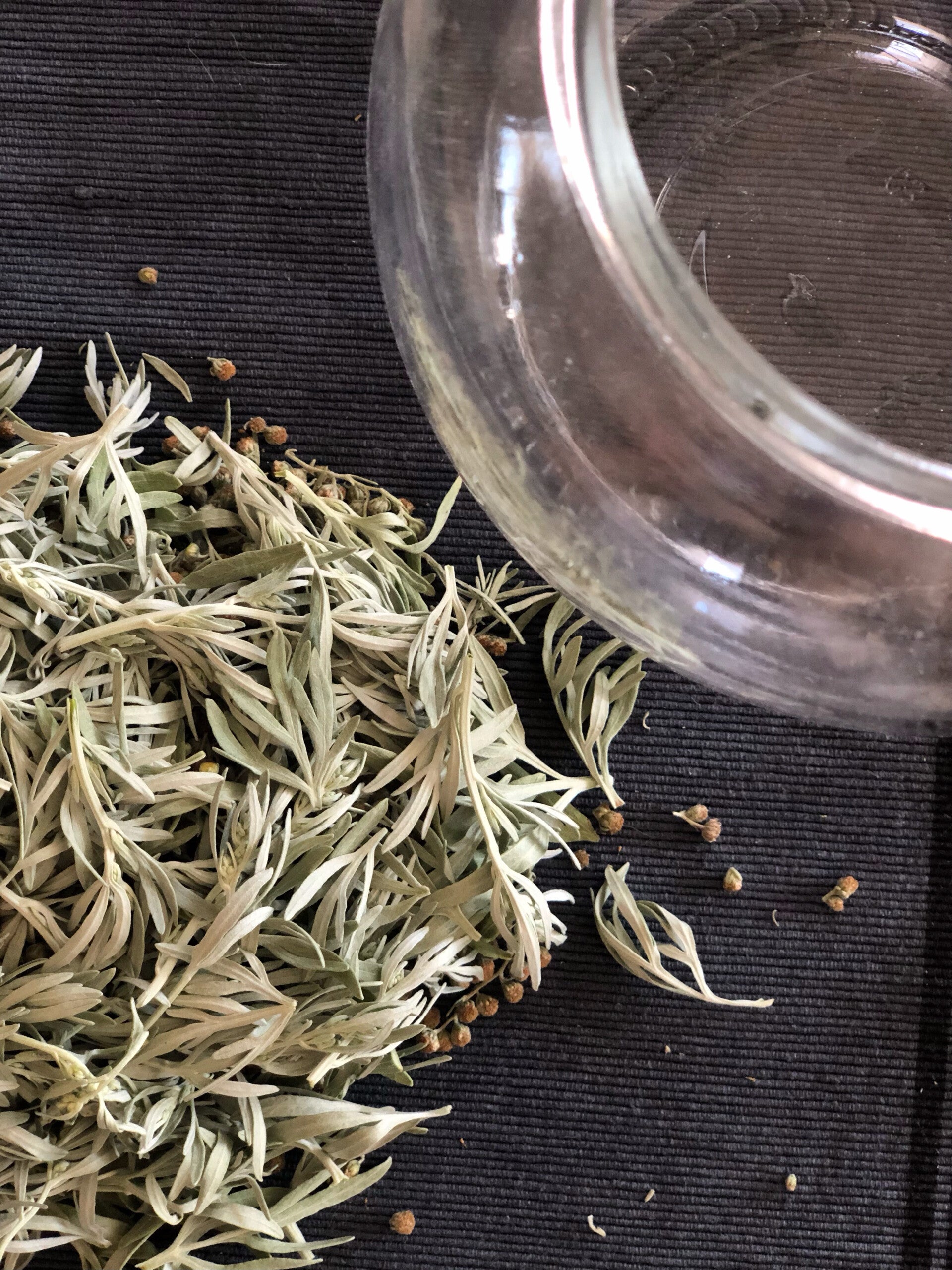 preparazione dell'oleolito di Artemisia
