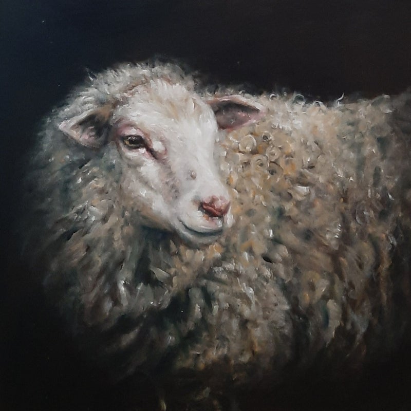 'Mijn schapen horen Mijn stem'