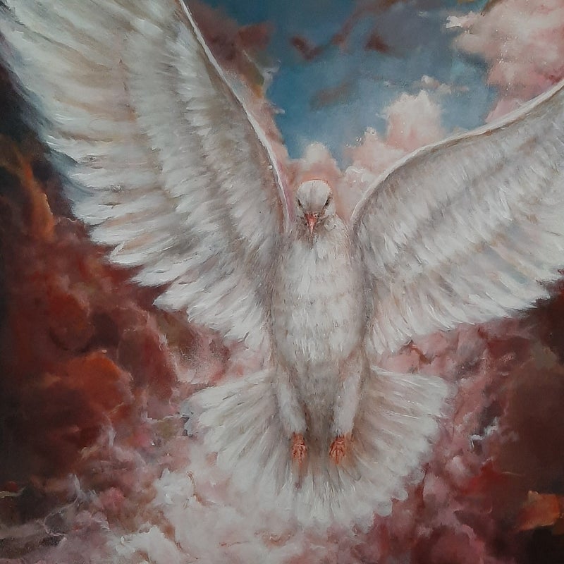 Open Hemel, op wie mag ik landen?'