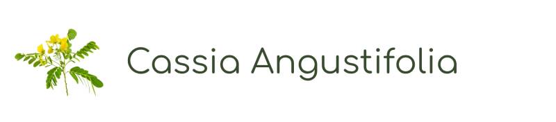 Cassia Angustifolia | ABOUT the ROSE | Rozen cosmetica