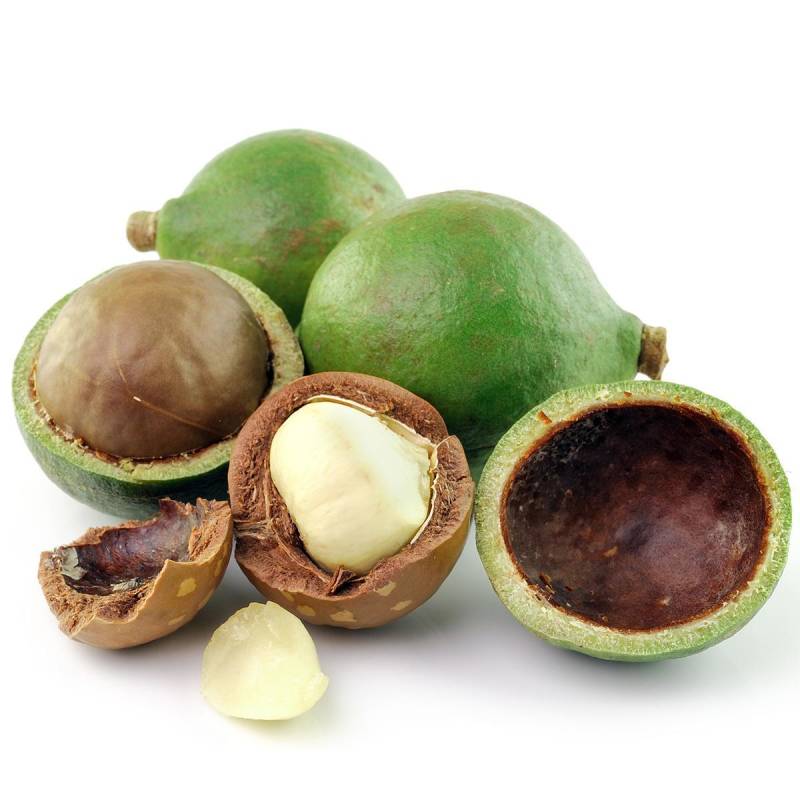 Macadamia olie | ABOUT the ROSE | Rozen cosmetica