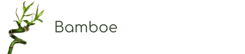 Cassia Angustifolia | ABOUT the ROSE | Rozen cosmetica