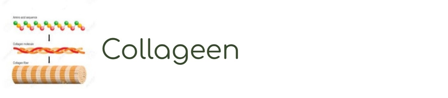 Q10 co-enzyme | ABOUT the ROSE | Rozen cosmetica