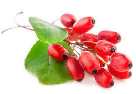 Goji bessen extract | ABOUT the ROSE | Rozen cosmetica