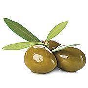 Olijfolie | ABOUT the ROSE | Rozen cosmetica