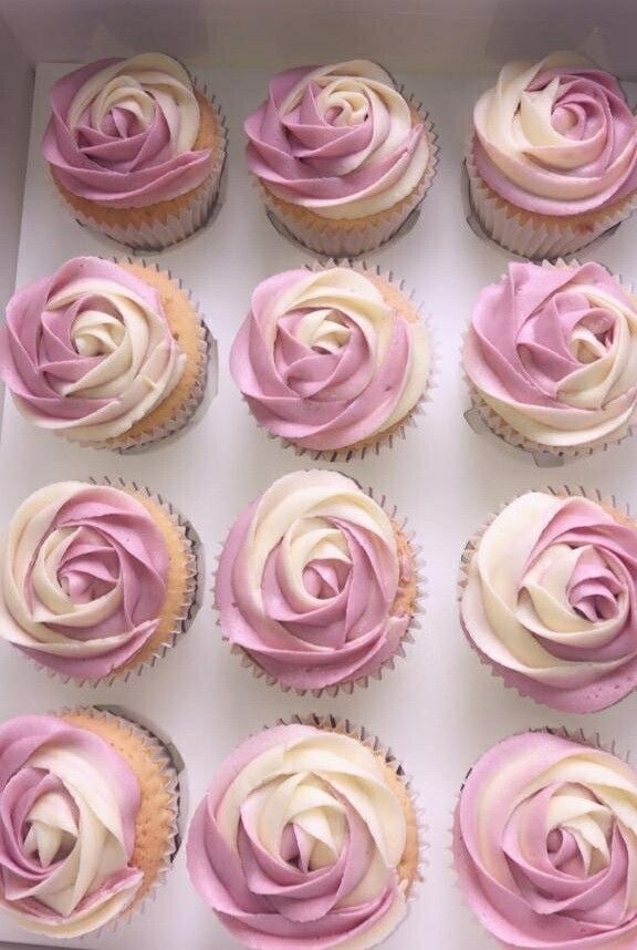 12 cupcake box