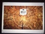 BELLI SRL