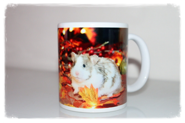 Mok met goudhamster herfstthema