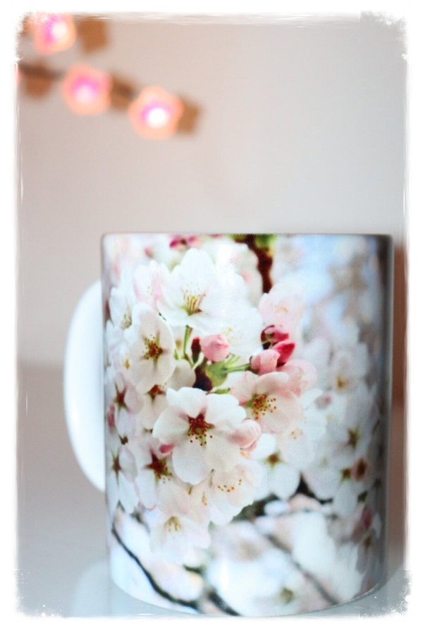 Mok met witte lente bloesems