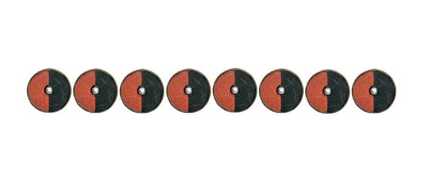Saxon Shields