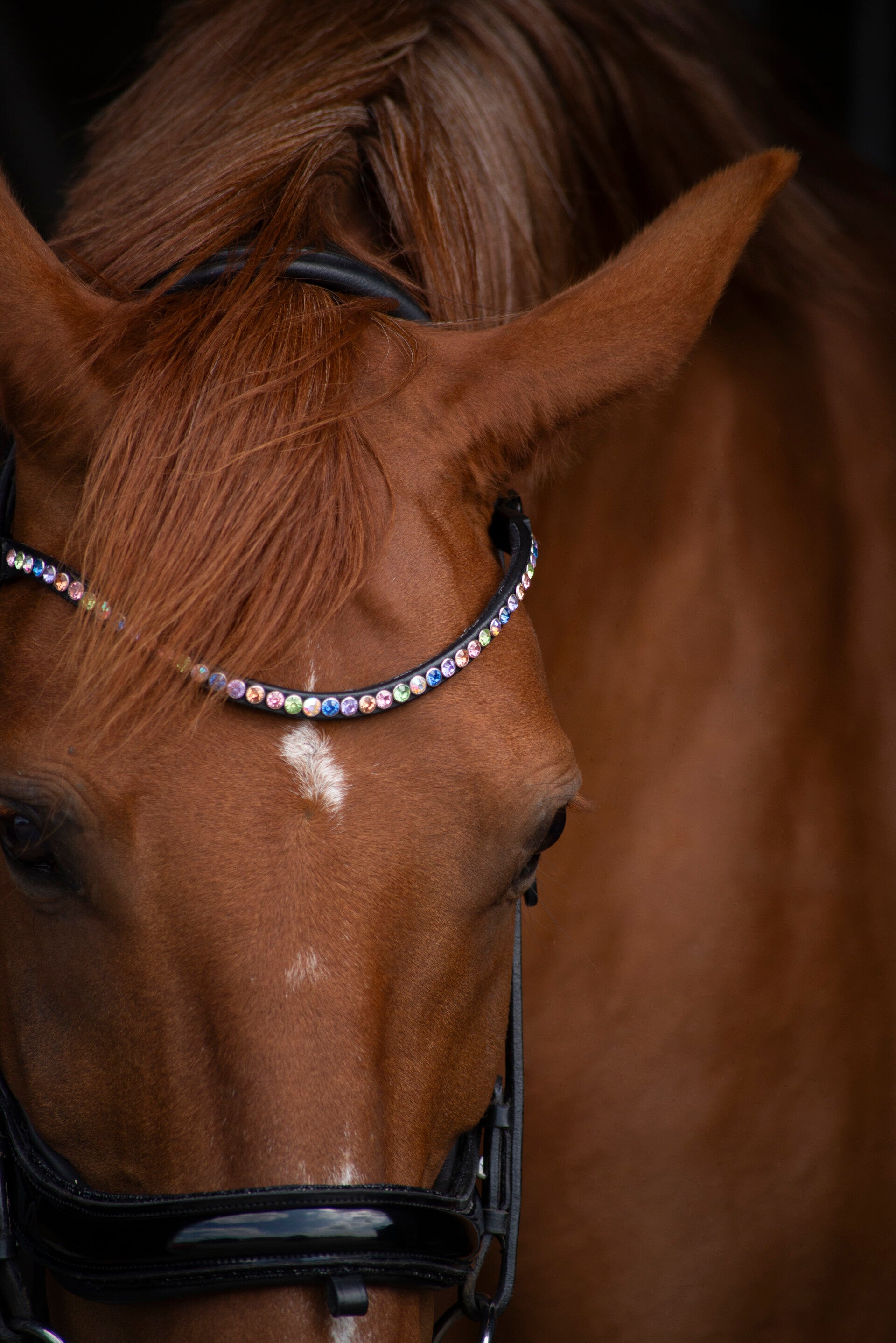 Jouw droom frontriem - Full Enkel