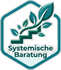Systemische Baratung