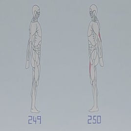 249b-standard-ylh0tk.jpg