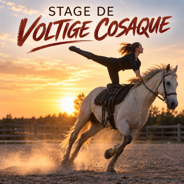 STAGES D'INITIATION VOLTIGE COSAQUE