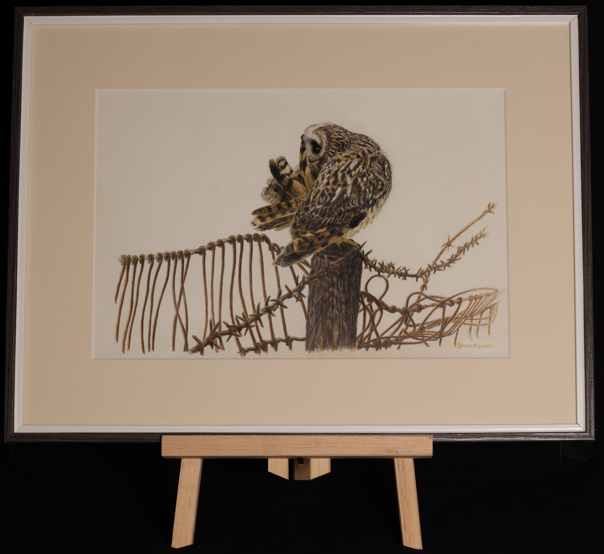 #0005 Velduil | Origineel