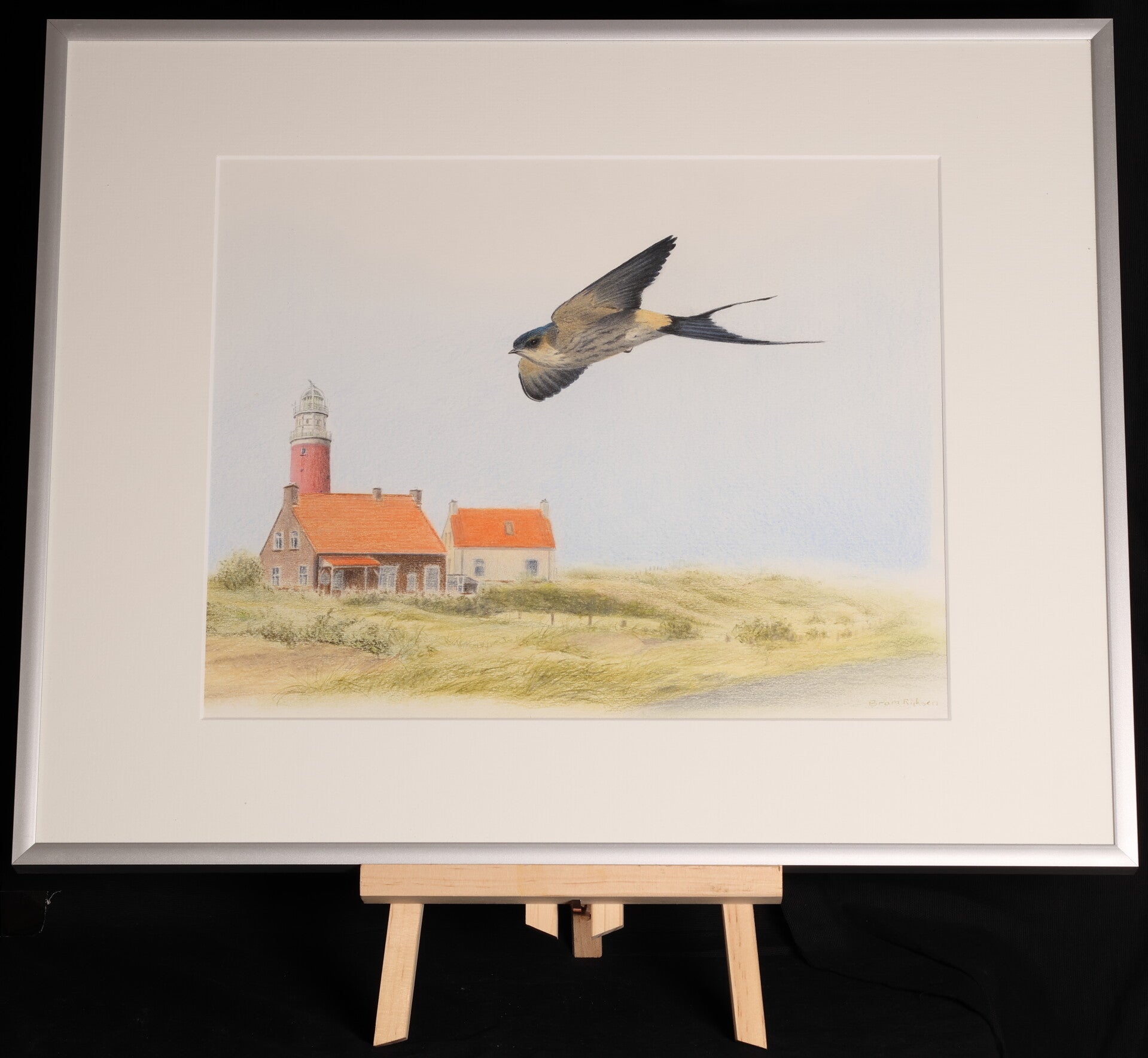 #0013 Amoerroodstuitzwaluw | Origineel