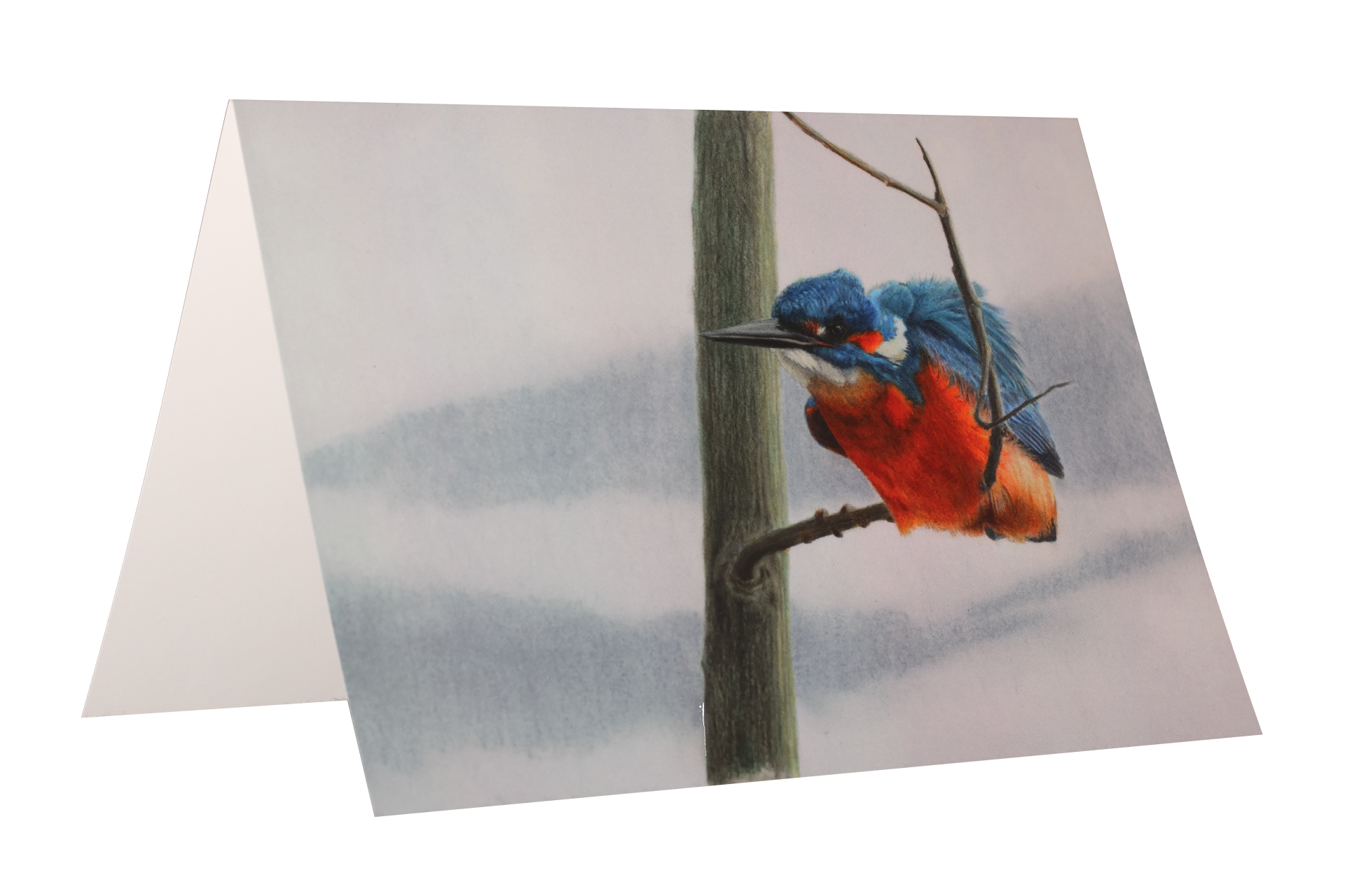 #0014 IJsvogel | Vouwkaart