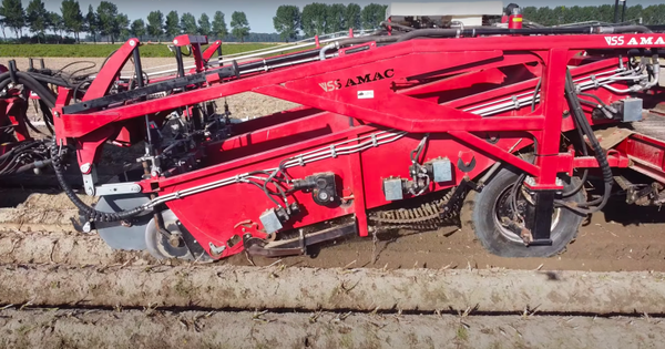 VSS AMAC Voorraadrooier