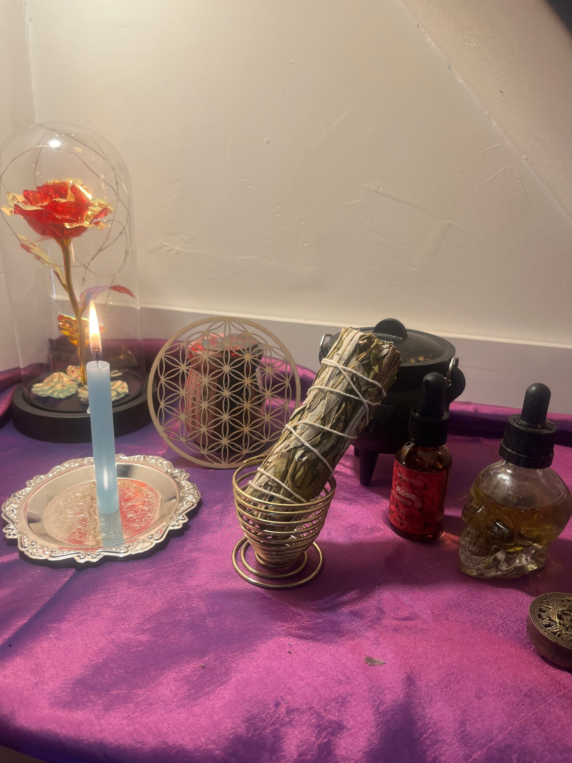 SAUGE NOIR (à l’unité)