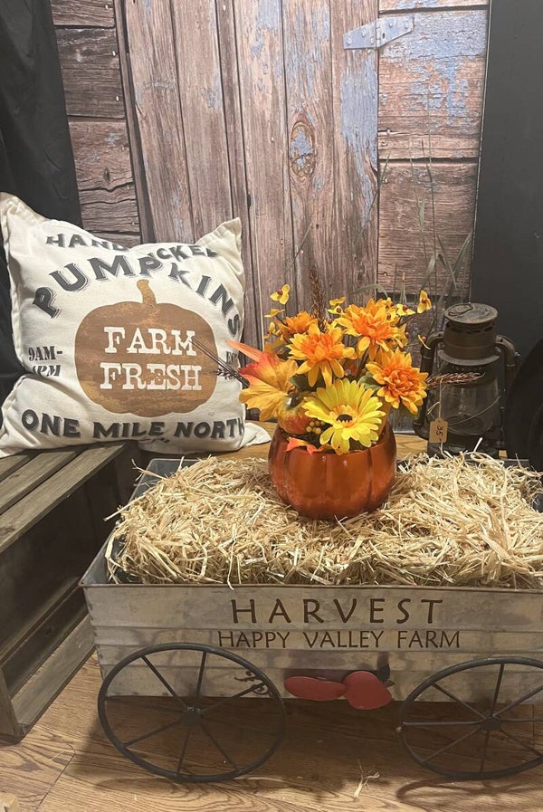 Pumpkin Patch