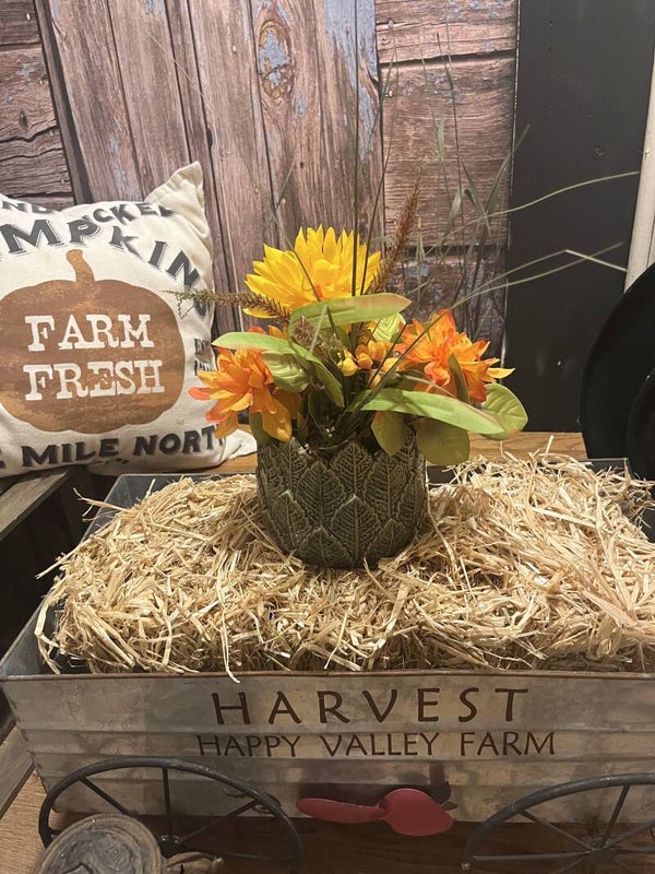 Harvest Sunburst
