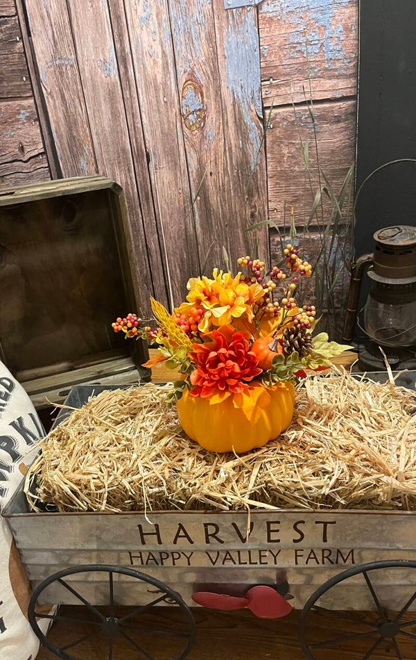 Pumpkin Harvest