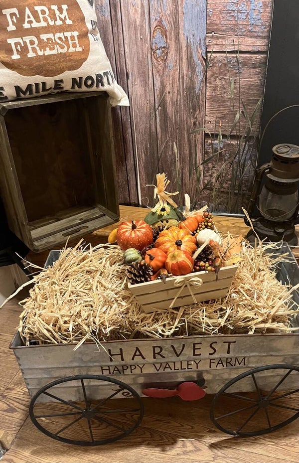 Little Pumpkin Patch