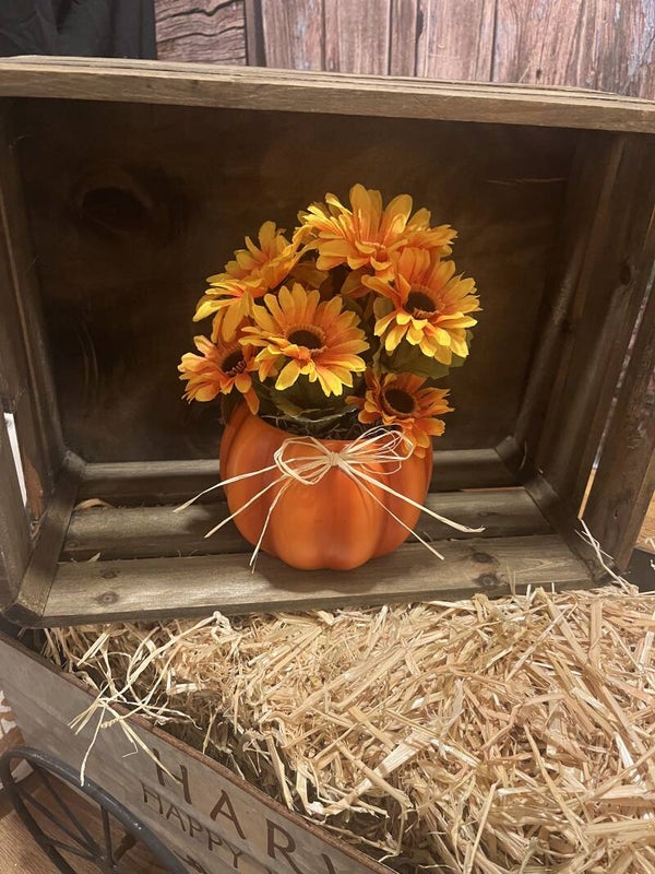 Little Pumpkin Sunflowers