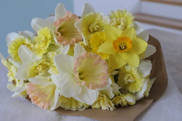Frühlings-Abo - 4x Blumenfreude