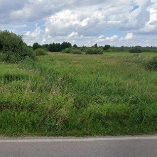 Ponad 2 hektar łąki z możliwością zabudowy.