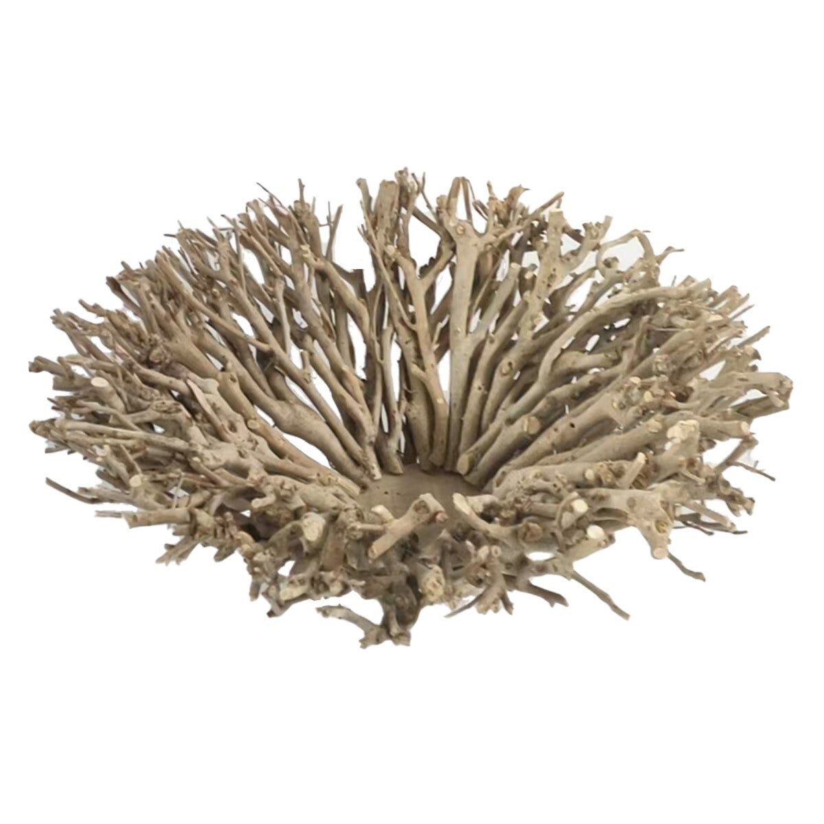 Coupe Branches Naturelles / Coupe Bois Flotté D'Arbre De thé 40x40x15 CM