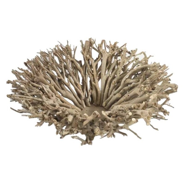 Coupe Branches Naturelles / Coupe Bois Flotté D'Arbre De thé 40x40x15 CM