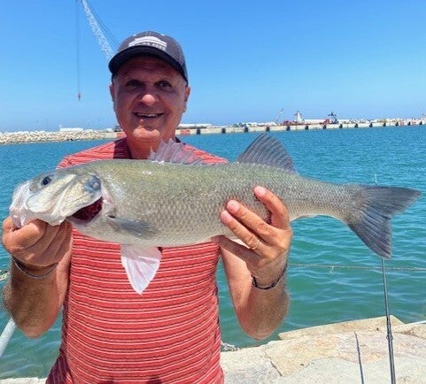 David avec un bar à Port-la-Nouvelle