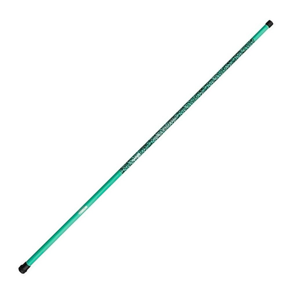 Canne à Coup Mitchell Catch Pro II TéléPole Pré équipée Flotteur + Hameçon