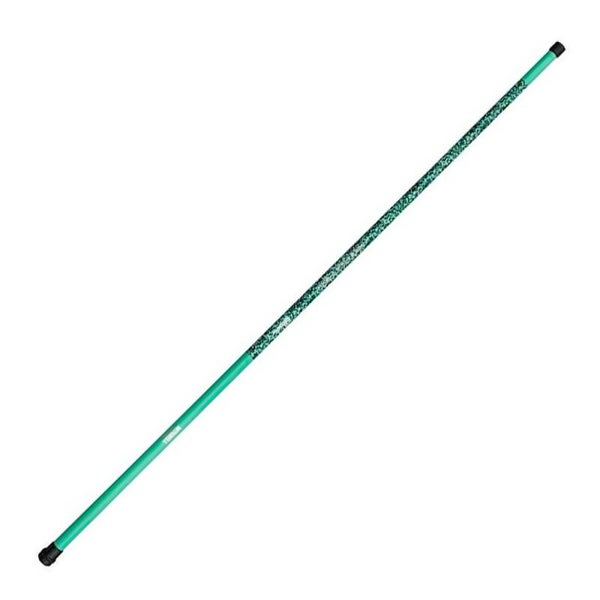 Canne à Coup Mitchell Catch Pro II TéléPole Pré équipée Flotteur + Hameçon