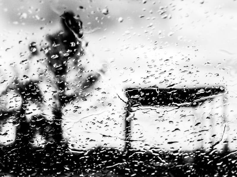 RAIN VISIONS #4