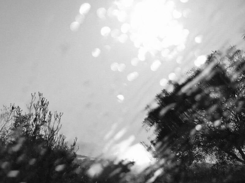 RAIN VISIONS #7