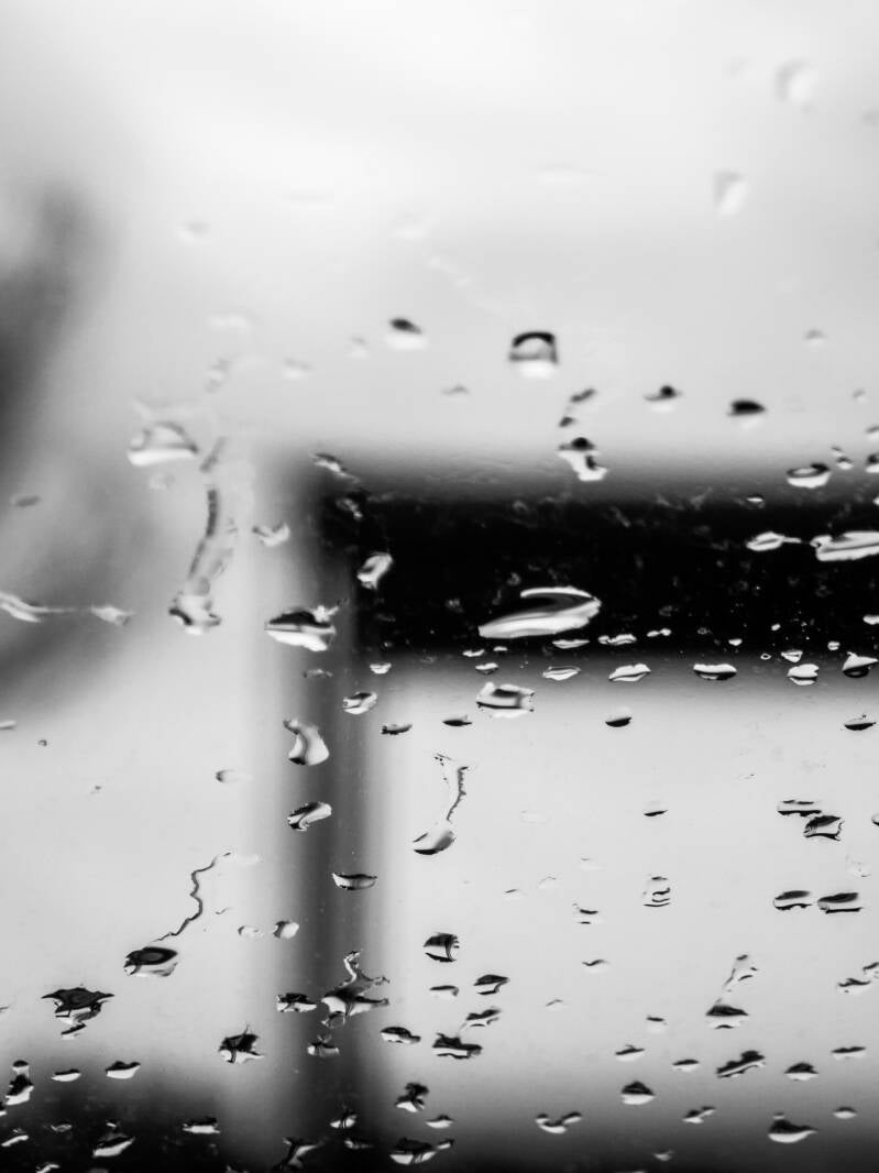 RAIN VISIONS #3