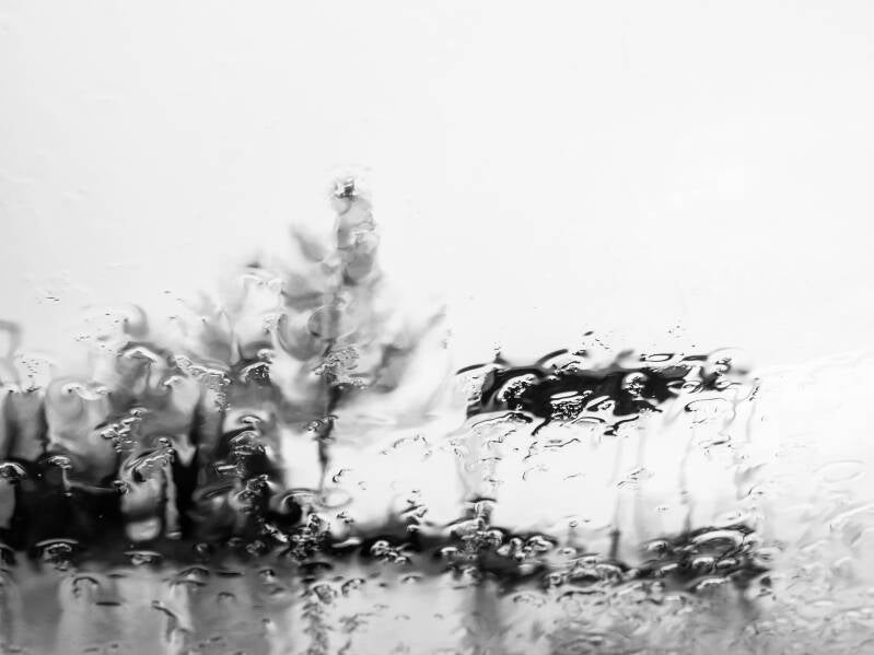 RAIN VISIONS #5