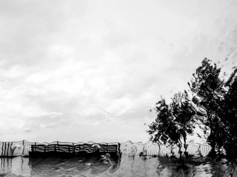 RAIN VISIONS #10