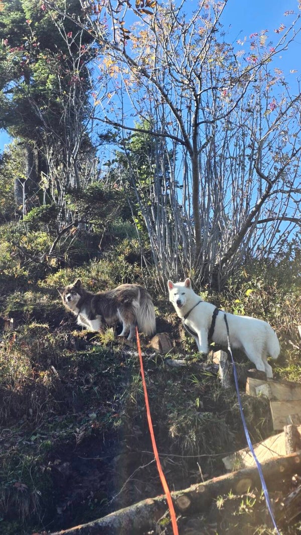 Entgiften und Aufbauen