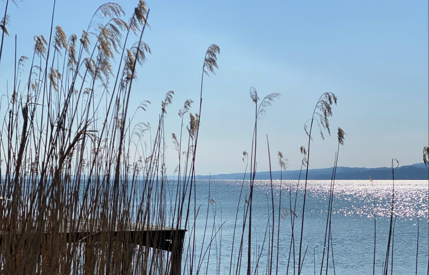 Chiropraktik in Starnberg - Tutzing