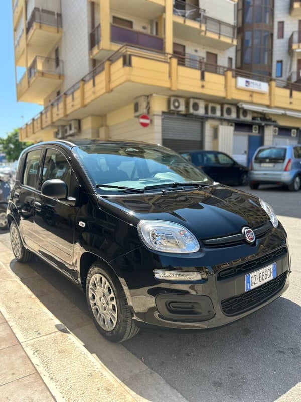 Panda
