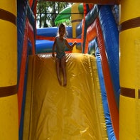 dsc_3833-standard.jpg