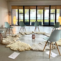cirkel-opstelling-met-stoelen-standard-4fx52j.jpg